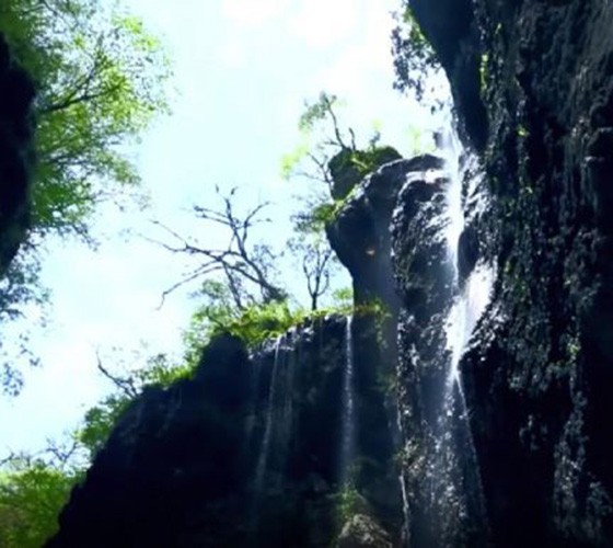 青山綠水，白龍江畔江畔息白鷺，兩岸綠橄欖入眼的都是純樸自然枝上花開(kāi)，春來(lái)水暖魚(yú)蝦戲水，鳥(niǎo)語(yǔ)花香心中充滿(mǎn)著舒暢之感祥宇生態(tài)產(chǎn)業(yè)園，位于隴南市武..
